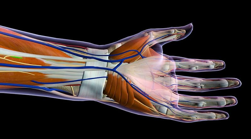 carpel tunnel remedies acupuncture salt lake city