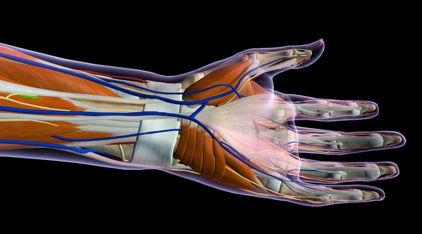 carpel tunnel remedies acupuncture salt lake city